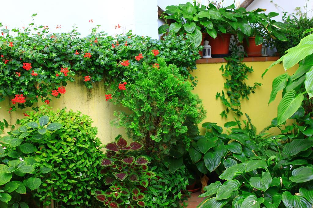 Hostal Escartin Sabiñánigo Екстериор снимка
