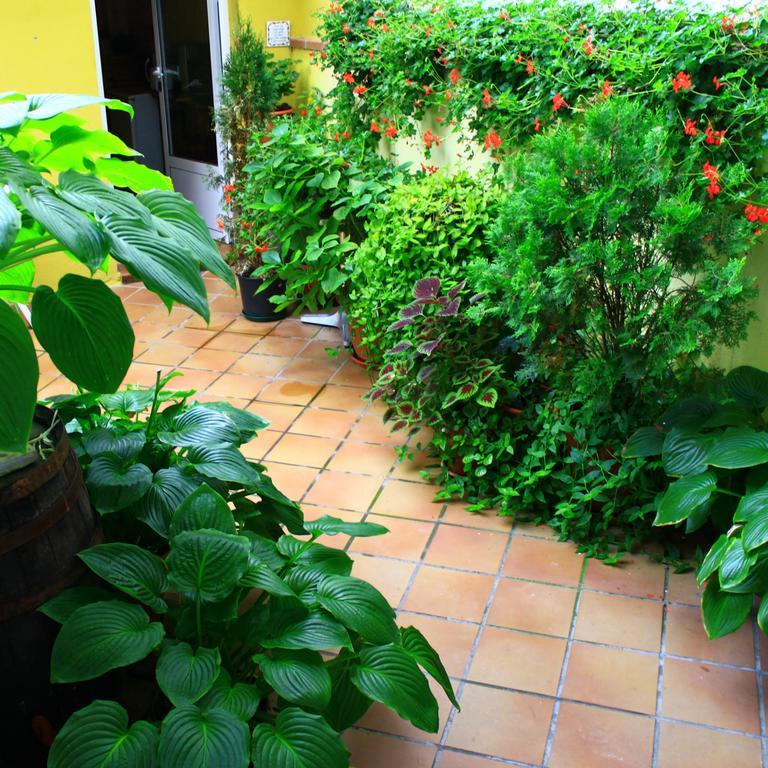 Hostal Escartin Sabiñánigo Екстериор снимка