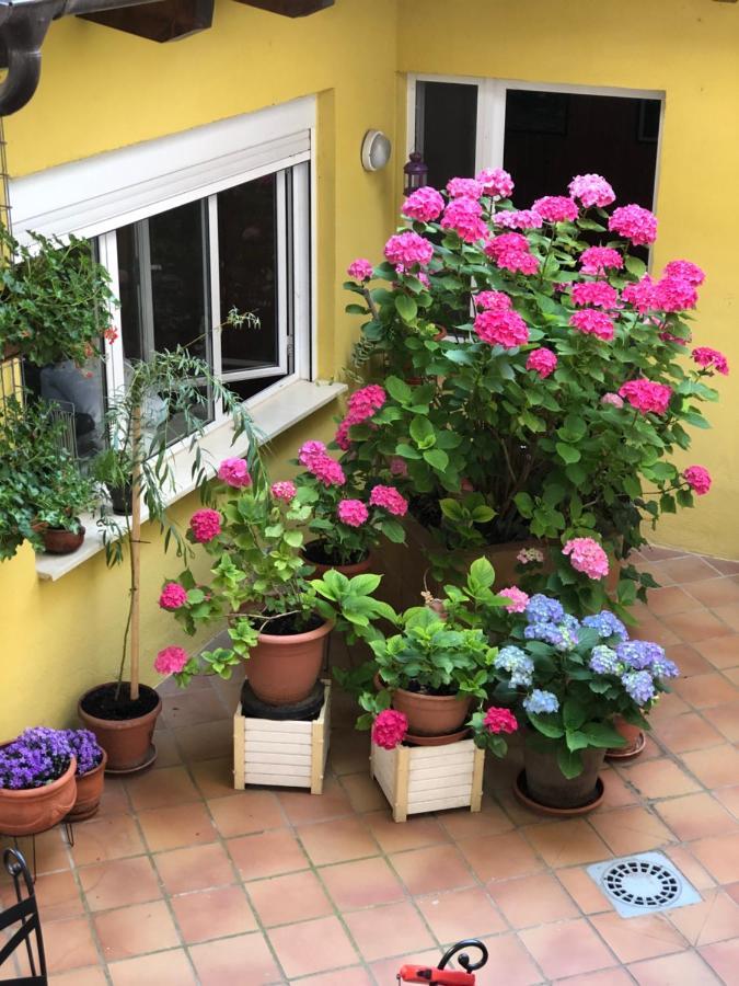 Hostal Escartin Sabiñánigo Екстериор снимка